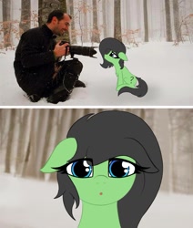 Size: 1209x1425 | Tagged: safe, artist:shepardinthesky, oc, oc:filly anon, earth pony, pony, camera, chest fluff, close-up, comic, female, filly, forest, mare, open mouth, sitting, snow