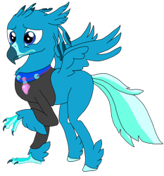 Size: 1740x1869 | Tagged: safe, artist:jack-varus, imported from derpibooru, oc, oc only, oc:ocean squall, classical hippogriff, hippogriff, clothes, male, nervous, simple background, transparent background