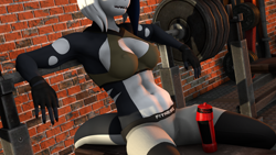 Size: 3840x2160 | Tagged: safe, artist:sfm deer animations, imported from derpibooru, oc, oc:tilly, anthro, orca, 3d, clothes, countershading, gloves, gym, gym uniform, solo, source filmmaker, strong