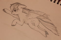 Size: 5184x3456 | Tagged: safe, artist:lawliet13, imported from derpibooru, rainbow dash, pegasus, pony, flying, monochrome, sketch, solo, traditional art