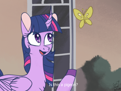 Size: 1280x960 | Tagged: safe, artist:cyan7cloud, imported from derpibooru, twilight sparkle, alicorn, butterfly, pony, colored hooves, curved horn, dialogue, female, folded wings, horn, is this a pigeon, looking at something, looking up, mare, meme, open mouth, outdoors, pointing, ponified meme, raised hoof, solo, subtitles, three quarter view, twilight sparkle (alicorn), wings