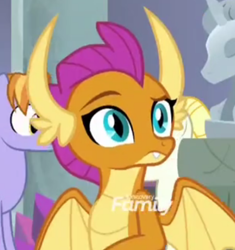 Size: 570x606 | Tagged: safe, imported from derpibooru, screencap, auburn vision, smolder, summer breeze, dragon, earth pony, pegasus, pony, school daze, cropped, dragoness, female, friendship student, raised eyebrow, solo, solo focus, spread wings, wings