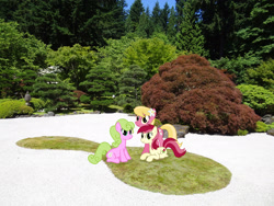 Size: 2048x1536 | Tagged: safe, artist:vector-brony, imported from derpibooru, daisy, flower wishes, lily, lily valley, roseluck, earth pony, pony, female, flower, flower in hair, flower trio, garden, irl, lily (flower), lying down, mare, oregon, photo, ponies in real life, portland, prone, sitting, trio