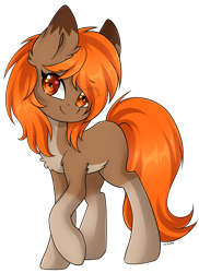 Size: 3396x4657 | Tagged: safe, artist:torihime, imported from derpibooru, oc, oc only, oc:autumn breeze, earth pony, pony, brown coat, chest fluff, coat markings, colored eartips, cute, ear fluff, eye clipping through hair, eyebrows, eyebrows visible through hair, female, full body, heart, heart eyes, looking at you, mare, orange eyes, orange mane, orange tail, pale belly, simple background, smiling, smiling at you, socks (coat markings), solo, tail, transparent background, wingding eyes