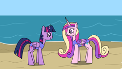 Size: 1920x1080 | Tagged: safe, artist:platinumdrop, imported from derpibooru, princess cadance, twilight sparkle, alicorn, pony, beach, clothes, duo, female, folded wings, mare, missing accessory, one-piece swimsuit, request, sisters-in-law, swimsuit, twilight sparkle (alicorn), wings