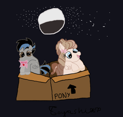 Size: 4178x3955 | Tagged: safe, artist:toyashixp, imported from derpibooru, oc, oc only, oc:julibunny, oc:strawberry milk, pegasus, pony, box, female, male, mare, moon, pony in a box, stallion