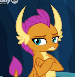 Size: 602x617 | Tagged: safe, imported from derpibooru, screencap, smolder, dragon, season 9, uprooted, spoiler:s09, cropped, crossed arms, dragoness, female, looking at you, smolder is not amused, solo, unamused