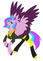 Size: 1291x1800 | Tagged: safe, artist:purplegrim40, imported from derpibooru, oc, oc only, pegasus, pony, clothes, colored wings, female, mare, pegasus oc, peytral, simple background, smiling, transparent background, two toned wings, unshorn fetlocks, wings