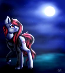 Size: 2300x2607 | Tagged: safe, artist:prettyshinegp, imported from derpibooru, oc, oc only, earth pony, pony, clothes, earth pony oc, female, full moon, hoodie, looking back, mare, moon, night, outdoors, raised hoof, solo