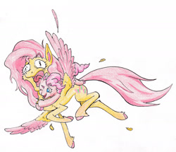 Size: 1986x1709 | Tagged: safe, artist:lost marbles, imported from derpibooru, fluttershy, pinkie pie, earth pony, pegasus, pony, colored pencil drawing, feather, glomp, one eye closed, simple background, size difference, smol, tallershy, traditional art, white background