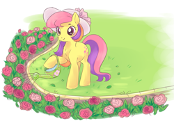 Size: 903x627 | Tagged: safe, artist:lolicoom, imported from derpibooru, oc, oc only, earth pony, pony, flower, grass, rose, scenery, sketch, solo, watering can, yellow