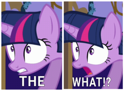 Size: 1650x1197 | Tagged: safe, edit, edited screencap, editor:dematrix-edit, imported from derpibooru, screencap, twilight sparkle, female, mare, meme, open mouth, pinpoint eyes, reaction image, solo, the what