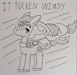 Size: 2776x2699 | Tagged: safe, artist:spoopygirl, imported from derpibooru, sunny starscout, earth pony, pony, female, full body, g5, lineart, mare, solo, traditional art, vulgar, wimdy meme, wind, windy