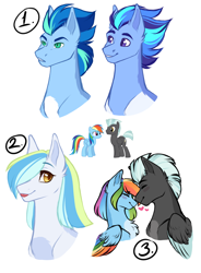 Size: 1400x1900 | Tagged: safe, artist:purplegrim40, imported from derpibooru, rainbow dash, oc, pegasus, pony, bust, chest fluff, female, male, mare, offspring, parent:rainbow dash, parent:thunderlane, parents:thunderdash, pegasus oc, simple background, smiling, stallion, white background, wings