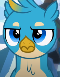 Size: 534x691 | Tagged: safe, imported from derpibooru, screencap, gallus, griffon, what lies beneath, cropped, gallus is not amused, male, solo, unamused