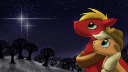 Size: 4800x2700 | Tagged: safe, artist:dragonwolfrooke, imported from derpibooru, applejack, big macintosh, earth pony, pony, apple, apple tree, bust, duo, high res, looking up, night, sad, stars, tree, winter