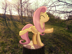Size: 4000x3000 | Tagged: safe, artist:colorfulbrony, imported from derpibooru, fluttershy, pegasus, pony, ^^, cute, eyes closed, female, high res, irl, mare, photo, ponies in real life, shyabetes, smiling, solo, standing on two hooves, tree stump
