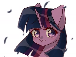 Size: 2006x1515 | Tagged: safe, artist:namaenonaipony, imported from derpibooru, twilight sparkle, pony, ambiguous race, bust, female, horn, looking at you, mare, portrait, simple background, solo, white background