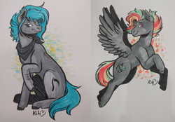 Size: 2480x1729 | Tagged: safe, artist:kikirdcz, imported from derpibooru, oc, oc only, earth pony, pegasus, pony, traditional art