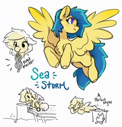 Size: 3133x3281 | Tagged: safe, artist:opalacorn, imported from derpibooru, oc, oc only, oc:sea storm, pegasus, pony, cooking, fire, fishing, fishing rod, knot, pier, rope, simple background, solo, that's a penis