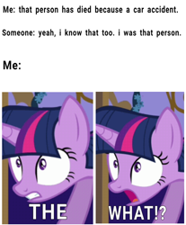 Size: 1650x1989 | Tagged: safe, edit, edited screencap, editor:dematrix-edit, imported from derpibooru, screencap, twilight sparkle, pony, exploitable meme, female, mare, meme, open mouth, ponified meme, reaction, shocked, shrunken pupils, solo, text, the what