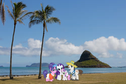 Size: 1600x1067 | Tagged: safe, artist:jaredking779, artist:vector-brony, imported from derpibooru, cookie crumbles, hondo flanks, rarity, sweetie belle, pony, unicorn, clothes, family, female, filly, foal, hat, hawaiian shirt, irl, male, mare, photo, ponies in real life, rarity's parents, shirt, stallion