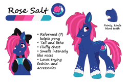 Size: 2880x1876 | Tagged: safe, artist:malarkey, imported from derpibooru, oc, oc only, oc:rose salt, kelpie, pony, female, g5, mare, reference sheet, simple background, solo, white background