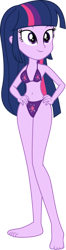 Size: 158x600 | Tagged: safe, alternate version, artist:m-brony96, imported from derpibooru, twilight sparkle, alicorn, human, equestria girls, clothes, female, image, png, simple background, solo, swimsuit, transparent background, twilight sparkle (alicorn), wwe