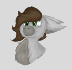 Size: 1056x1024 | Tagged: safe, artist:lil_vampirecj, imported from derpibooru, oc, oc only, oc:cj vampire, earth pony, pony, brown mane, bust, gray coat, green eyes, heterochromia, portrait, solo, texture