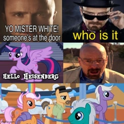 Size: 500x500 | Tagged: safe, editor:ponk pone, imported from derpibooru, heisenbuck, twilight sparkle, alicorn, pony, grannies gone wild, breaking bad, heisenberg, meme, ponified, twilight sparkle (alicorn), walter white