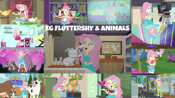 Size: 1966x1106 | Tagged: safe, edit, edited screencap, editor:quoterific, imported from derpibooru, screencap, fluttershy, rainbow dash, winona, bird, chicken, cow, dog, goat, human, owl, a little birdie told me, eqg summertime shorts, equestria girls, equestria girls series, five to nine, get the show on the road, hamstocalypse now, i'm on a yacht, outtakes (episode), pet project, road trippin, so much more to me, spring breakdown, stressed in show, stressed in show: fluttershy, tip toppings, tip toppings: fluttershy, spoiler:choose your own ending (season 2), spoiler:eqg series (season 2), camp everfree outfits, clothes, cutie mark on clothes, eyes closed, female, geode of fauna, hairpin, jewelry, magical geodes, necklace, open mouth, open smile, smiling, tanktop, text, video camera