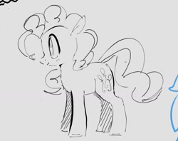 Size: 1204x954 | Tagged: safe, artist:hattsy, pinkie pie, earth pony, pony, female, mare, monochrome, simple background, sketch, smiling