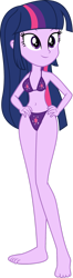Size: 459x1740 | Tagged: safe, artist:m-brony96, imported from twibooru, twilight sparkle, alicorn, equestria girls, clothes, female, image, png, simple background, solo, swimsuit, transparent background, twilight sparkle (alicorn), wwe