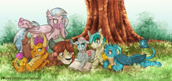 Size: 1024x489 | Tagged: safe, artist:inhoshi-to-darkpen, imported from derpibooru, gallus, ocellus, sandbar, silverstream, smolder, yona, changedling, changeling, classical hippogriff, dragon, earth pony, griffon, hippogriff, pony, yak, book, cute, diaocelles, diastreamies, sandabetes, student six, tree, yonadorable