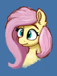 Size: 2048x2732 | Tagged: safe, artist:phutashi, imported from derpibooru, fluttershy, pegasus, pony, blue background, bust, ear fluff, female, high res, mare, simple background, smiling, solo