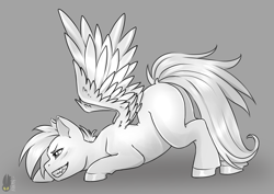 Size: 2039x1446 | Tagged: safe, artist:natt333, imported from derpibooru, rainbow dash, pegasus, pony, black and white, blank flank, face down ass up, fangs, female, grayscale, mare, missing cutie mark, monochrome, sharp teeth, solo, spread wings, teeth, wings