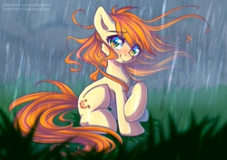 Size: 807x571 | Tagged: safe, artist:chaosangeldesu, imported from derpibooru, oc, oc only, oc:polya, earth pony, pony, female, mare, rain, sitting, solo, windswept mane