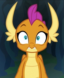 Size: 591x720 | Tagged: safe, imported from derpibooru, screencap, smolder, dragon, what lies beneath, cropped, dragoness, female, looking at you, reaction image, solo