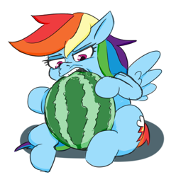 Size: 473x476 | Tagged: safe, artist:jargon scott, imported from derpibooru, rainbow dash, pegasus, pony, biting, faic, female, food, herbivore, mare, silly, silly pony, simple background, sitting, solo, watermelon, white background