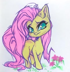 Size: 1440x1488 | Tagged: safe, artist:pixeenmoon, imported from derpibooru, fluttershy, pony, cute, shyabetes, solo, wingless