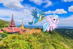 Size: 1000x667 | Tagged: safe, artist:frownfactory, edit, imported from derpibooru, gallus, silverstream, classical hippogriff, griffon, hippogriff, female, irl, male, mandalay, myanmar, photo, ponies in real life