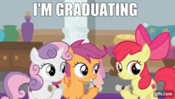 Size: 640x360 | Tagged: safe, edit, edited screencap, editor:quoterific, imported from derpibooru, screencap, apple bloom, scootaloo, sweetie belle, bird, earth pony, pegasus, pony, unicorn, marks for effort, season 8, adorabloom, animated, apple bloom's bow, bow, cute, cutealoo, cutie mark crusaders, diasweetes, eyes closed, female, filly, flying, foal, gif, gifs.com, grin, hair bow, impact font, open mouth, open smile, school of friendship, scroll, smiling, spread wings, text, trio, wings