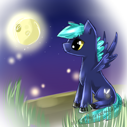 Size: 1000x1000 | Tagged: safe, artist:aquagalaxy, imported from derpibooru, oc, oc only, pegasus, pony, male, moon, solo, stallion, unshorn fetlocks