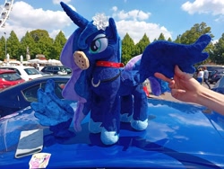 Size: 4000x3000 | Tagged: safe, artist:melodisde, imported from derpibooru, photographer:sassysvczka, lily, lily valley, princess luna, alicorn, human, car, collar, cookie, ferris wheel, flower, flower in hair, food, gala parking, galacon, galacon 2022, hand, irl, irl human, jewelry, necklace, parking lot, phone sock, photo, plushie, regalia, seat ibiza (car), spread wings, sticker, wings