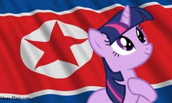 Size: 480x288 | Tagged: safe, imported from ponybooru, twilight sparkle, the crystal empire, north korea, salute, solo