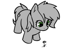Size: 499x367 | Tagged: safe, artist:neuro, oc, oc only, oc:filly anon, earth pony, pony, earth pony oc, female, filly, flower, gray, simple background, solo, transparent background