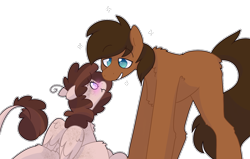 Size: 1100x700 | Tagged: safe, artist:puppie, imported from derpibooru, oc, oc only, oc:background, oc:raevyn, earth pony, pegasus, pony, blushing, chest fluff, cute, leonine tail, lidded eyes, scrunchy face, simple background, sparkles, tail, transparent background