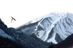 Size: 2000x1300 | Tagged: safe, artist:raminy, imported from derpibooru, griffon, day, flying, forest, hill, mountain, mountain range, scenery, snow