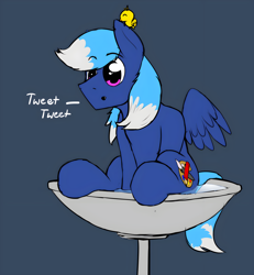 Size: 2500x2707 | Tagged: safe, artist:noxy, imported from derpibooru, oc, oc only, oc:noxy, bird, pegasus, behaving like a bird, bird bath, chirping, cute, male, pegasus oc, solo, spread wings, tail, two toned hair, two toned mane, two toned tail, wings