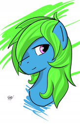 Size: 1422x2177 | Tagged: safe, artist:paintedskies, imported from derpibooru, oc, oc only, oc:sweetcakes, earth pony, pony, bust, colored, portrait